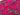 Fuchsia Vine Flower Border Cotton Broderie Anglaise Fabric