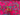 Fuchsia Vine Flower Border Cotton Broderie Anglaise Fabric