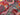Botanical Art Gobelin Tapestry