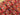Festive favourites BRUSHED BACK French Terry (Extra Wide)