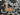 Tropical Storm Viscose Voile