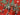 Nutcracker Border Print Cotton Poplin