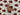 PRE ORDER Animal Print Pumpkins Cotton Jersey Fabric - DUE IN STOCK MID JULY