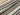 Wilderness Cotton Canvas