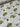 Dragon Dreams Cotton Jersey Fabric