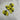 Bumble Bee Button- 25mm