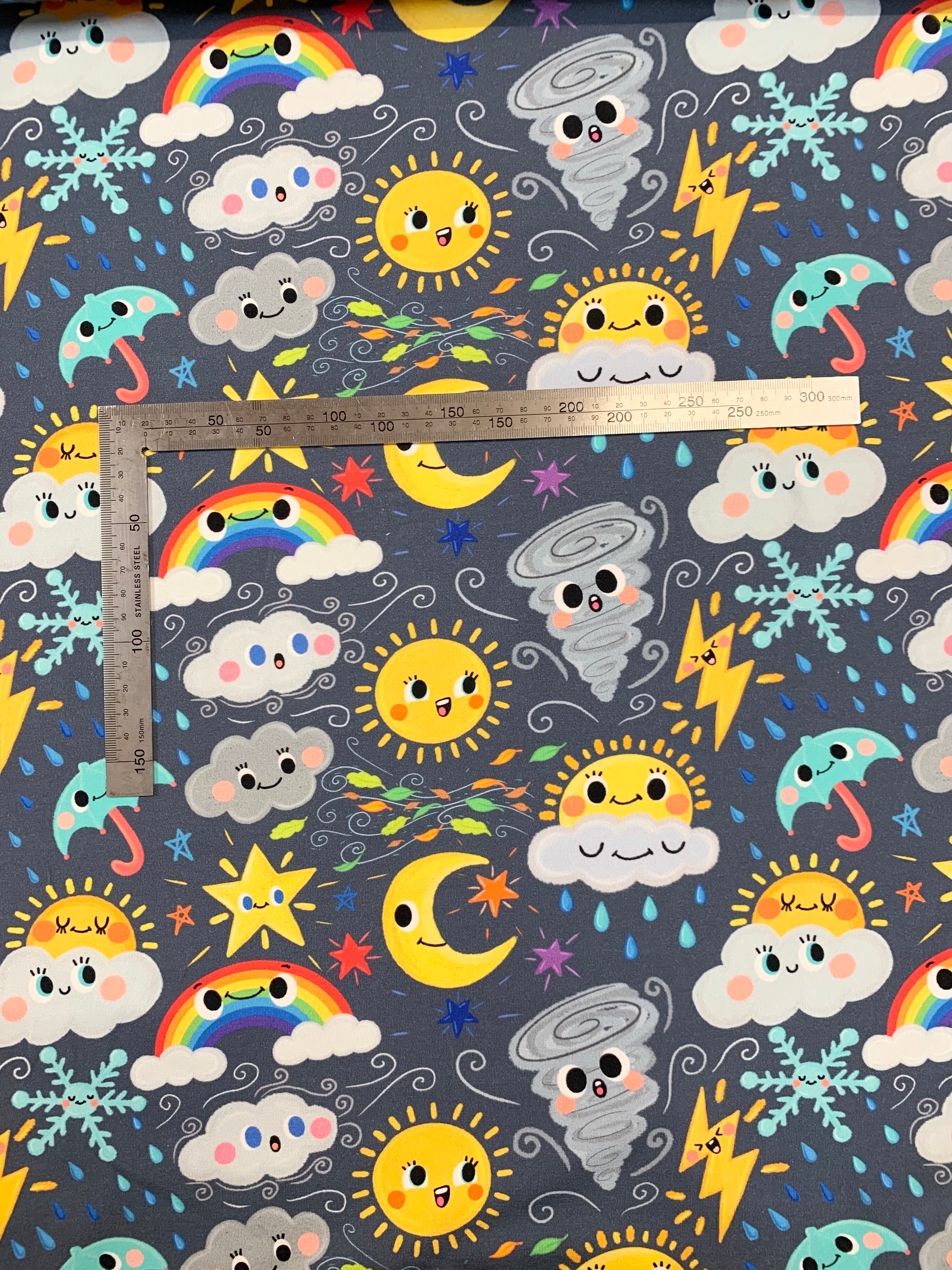 Weather Faces Grey Cotton Jersey Fabric