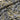 Sale Abstract Black stripes on Grey Cotton Satin Stretch