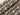 Blossom Posey Cotton canvas