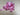 25mm Pink and White Stripe Ribbon